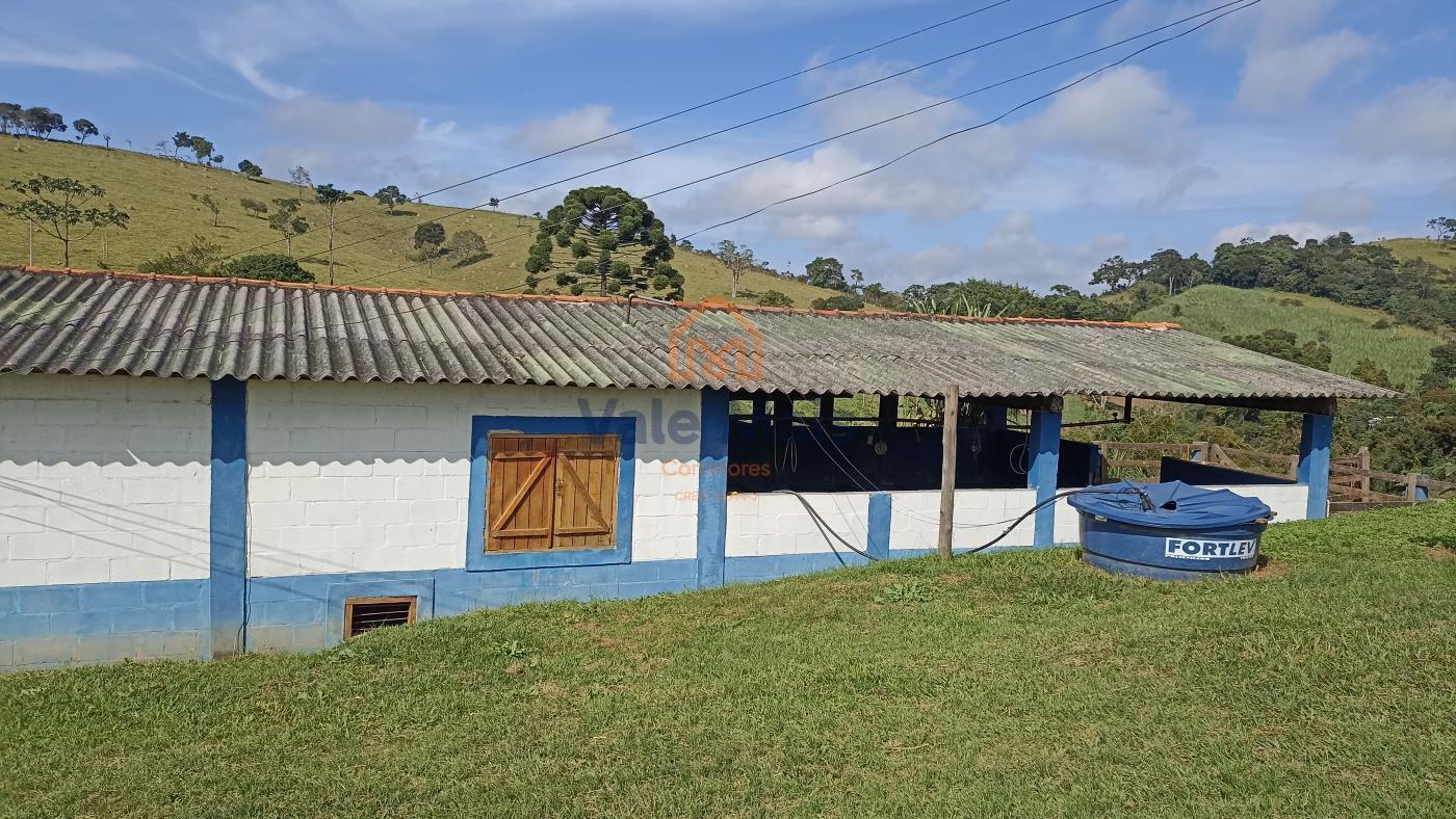 Fazenda à venda com 9 quartos, 72000m² - Foto 21