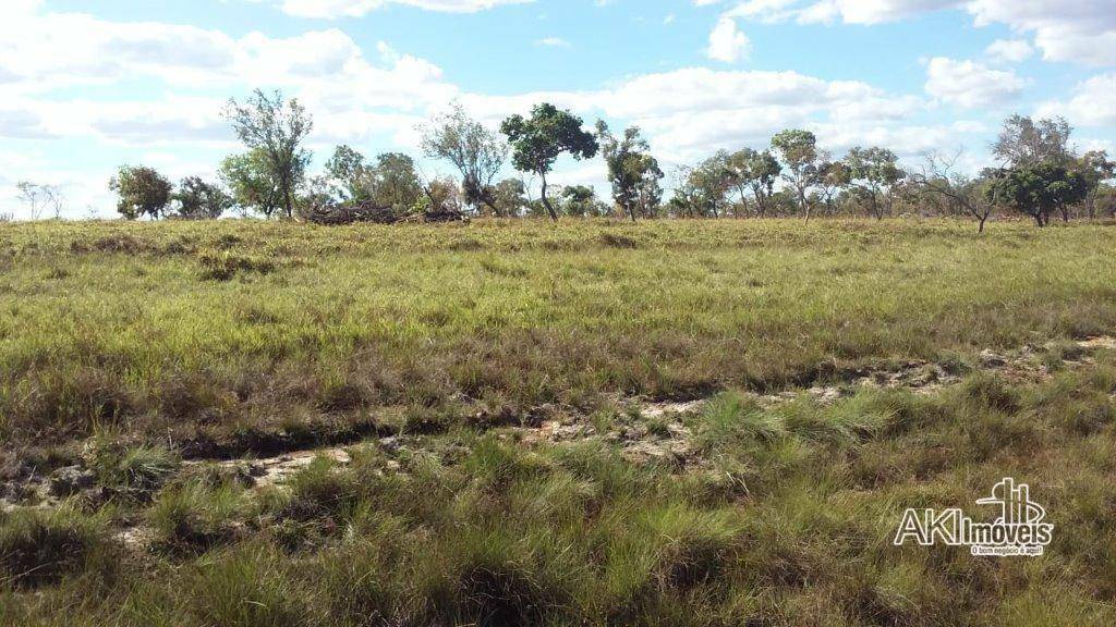 Fazenda à venda com 2 quartos, 4500000M2 - Foto 25