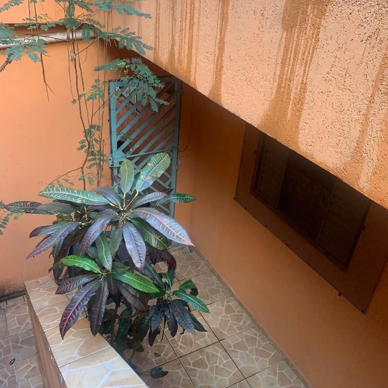 Sobrado à venda com 6 quartos, 250m² - Foto 14