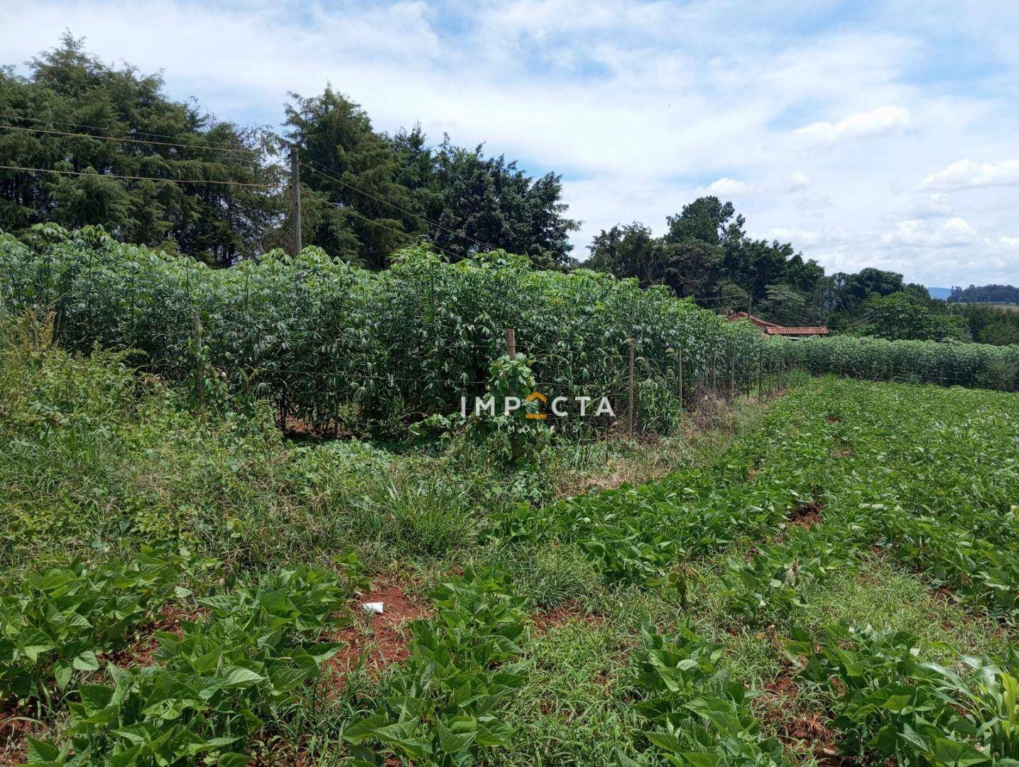 Terreno à venda, 1000M2 - Foto 3