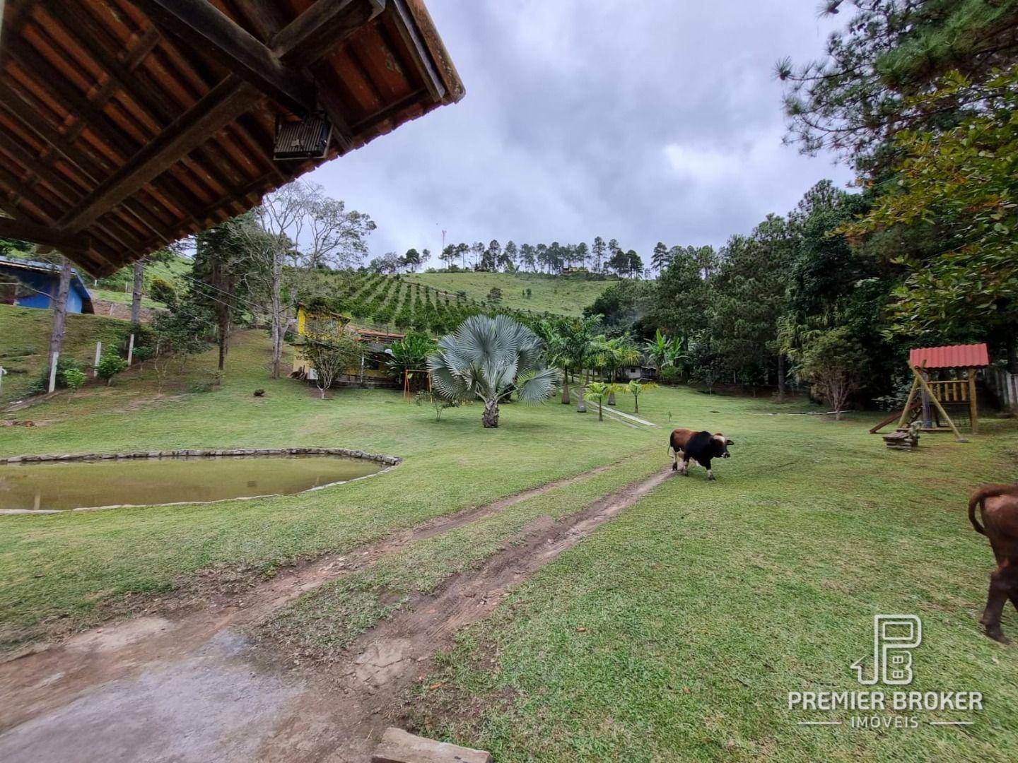 Sítio à venda com 3 quartos, 200m² - Foto 65