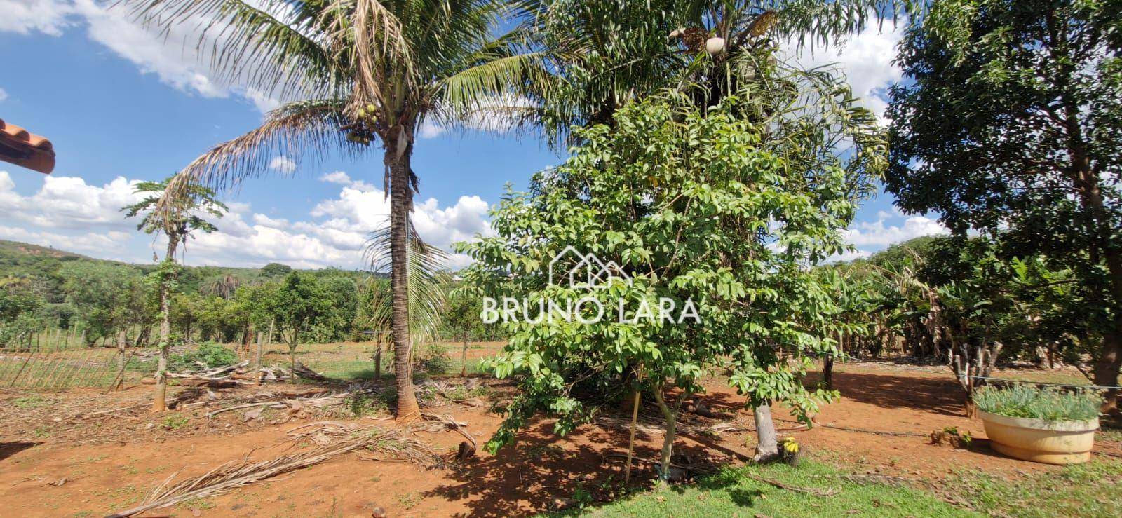 Sítio, 3 quartos, 7320 m² - Foto 19