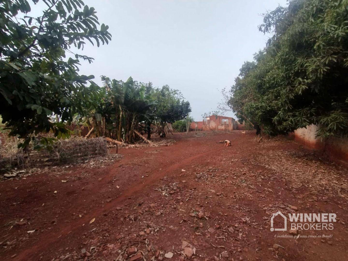 Chácara à venda com 1 quarto, 1000M2 - Foto 3