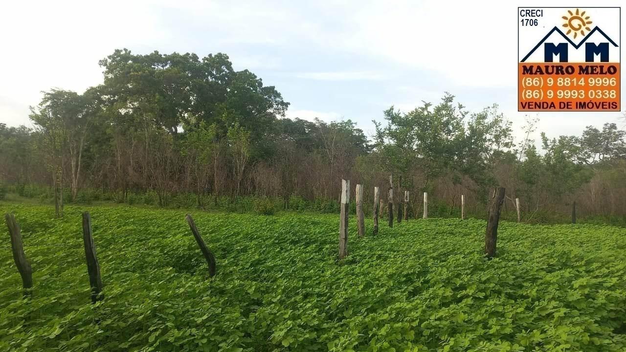 Fazenda-Sítio-Chácara, 42 hectares - Foto 3