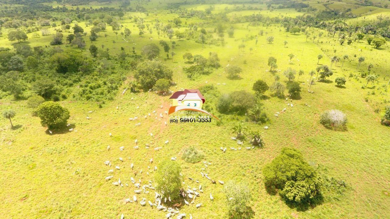 Fazenda à venda, 1m² - Foto 31