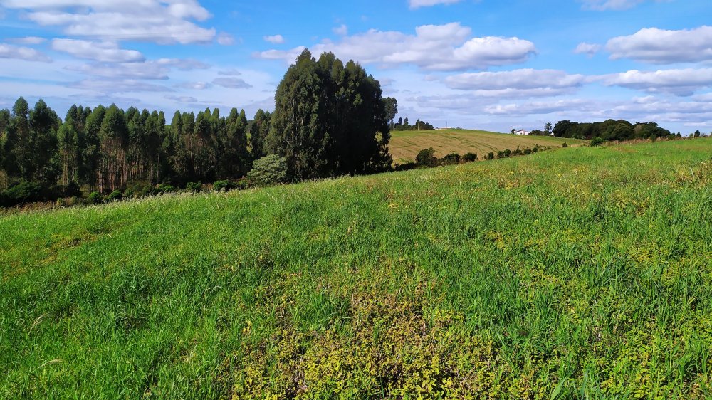 Fazenda à venda com 1 quarto, 24000m² - Foto 7