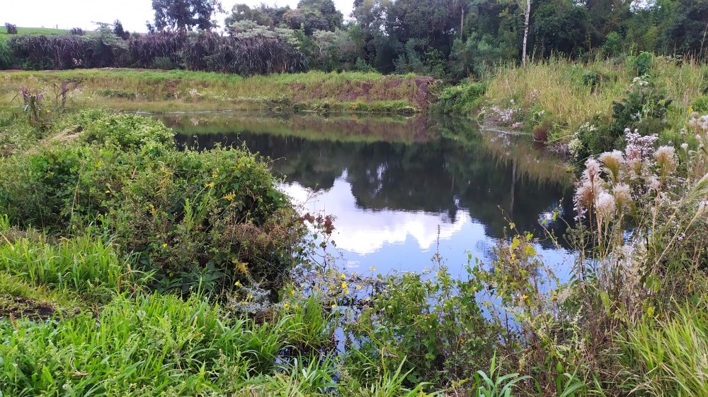 Fazenda à venda com 1 quarto, 2m² - Foto 11