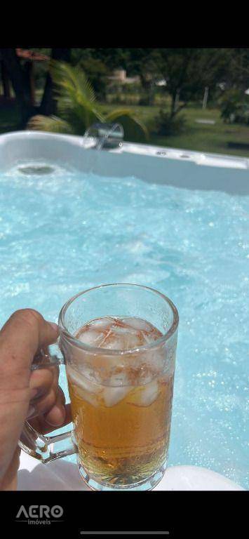 Chácara, 4 quartos, 5 hectares - Foto 29