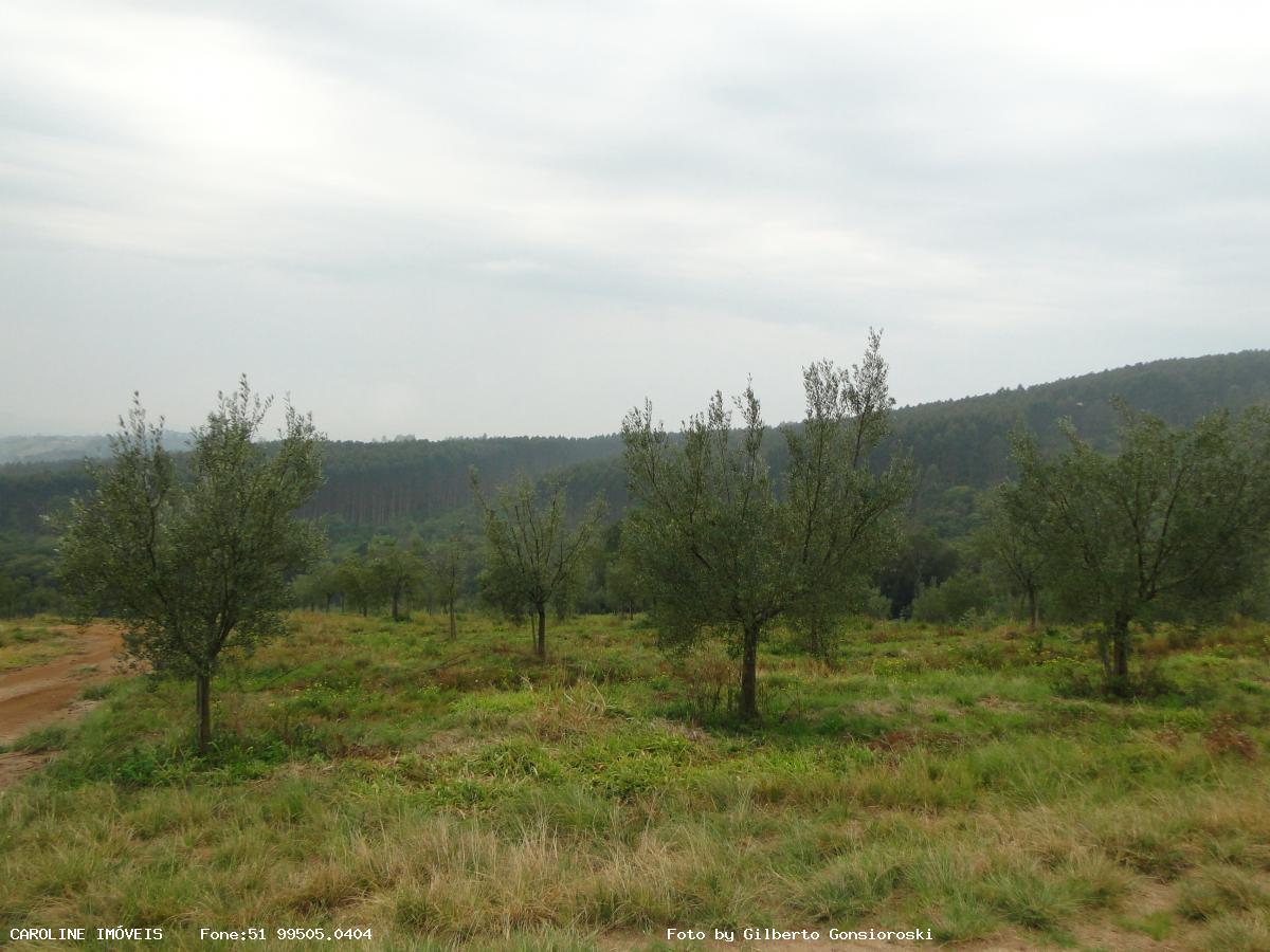 Fazenda à venda com 6 quartos, 493400m² - Foto 23