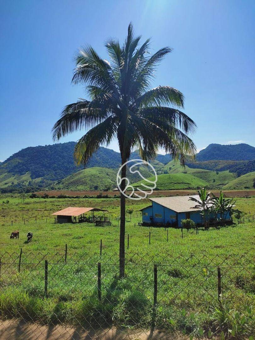 Sítio, 2 quartos, 8300 m² - Foto 9