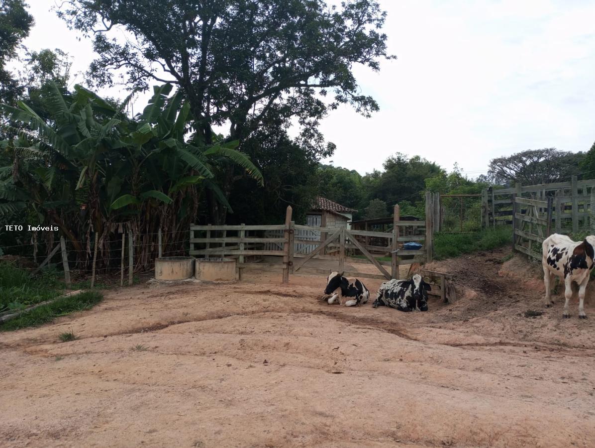 Fazenda à venda com 4 quartos, 36m² - Foto 4