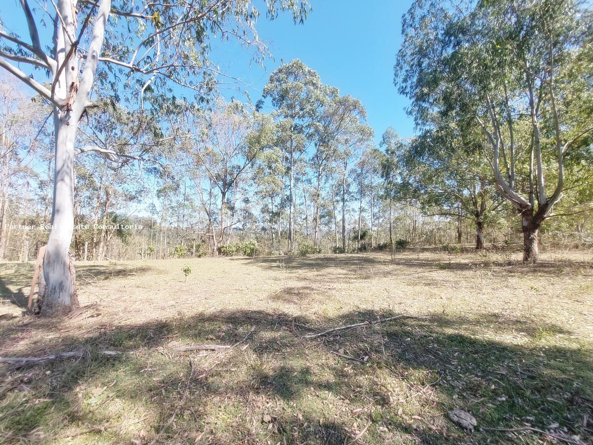 Fazenda à venda com 4 quartos, 128462m² - Foto 8