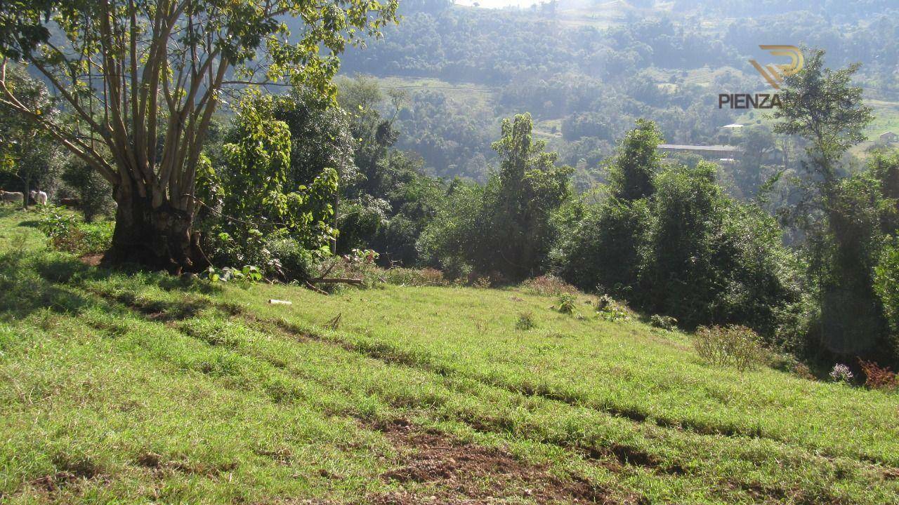 Terreno à venda, 30000M2 - Foto 9