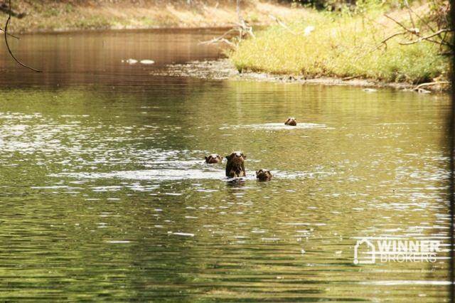 Flat/Apart Hotel, 20 quartos, 20000 m² - Foto 27