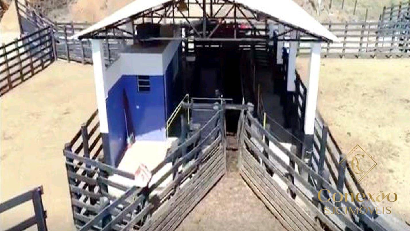 Fazenda, 257 hectares - Foto 16