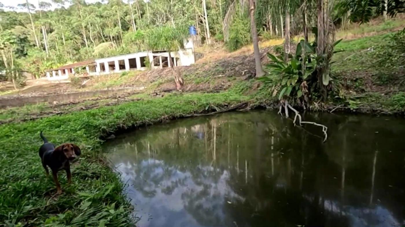 Casa de Condomínio à venda com 3 quartos, 3800m² - Foto 42