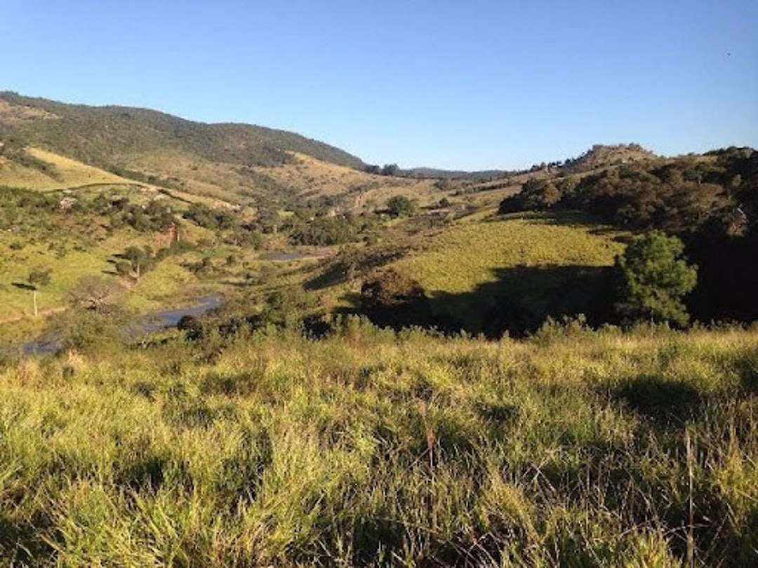 Terreno à venda, 25800M2 - Foto 3