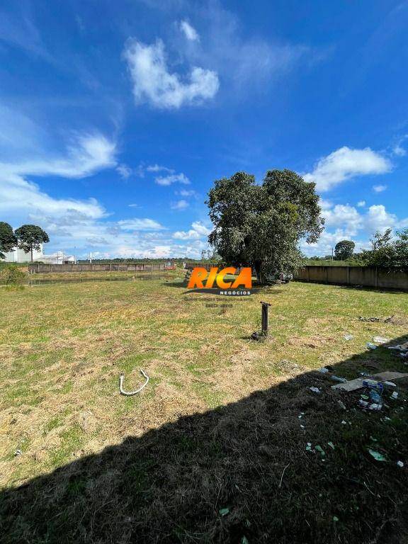 Chácara à venda com 6 quartos, 5800M2 - Foto 21