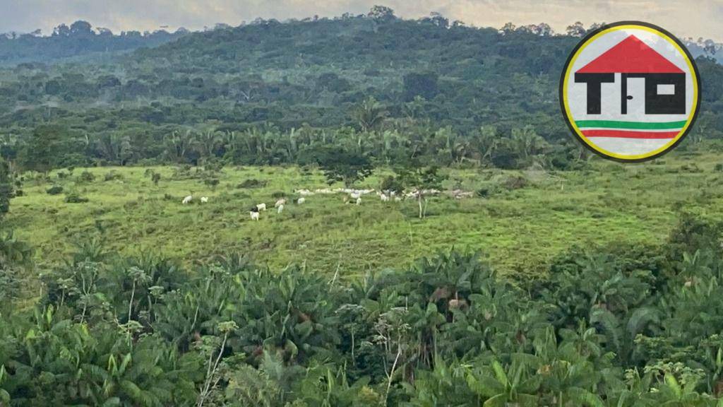 Fazenda à venda, 4114000M2 - Foto 11