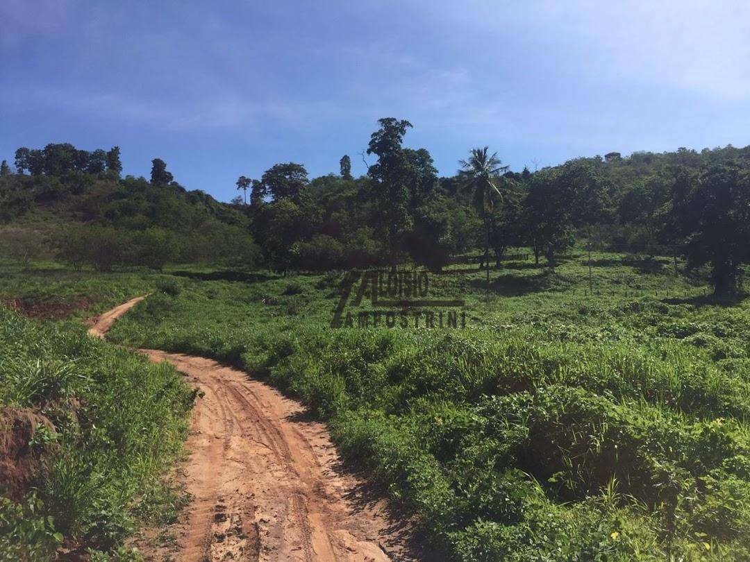 Fazenda à venda, 5469200M2 - Foto 53