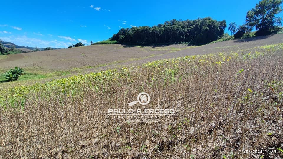 Fazenda à venda, 7m² - Foto 6