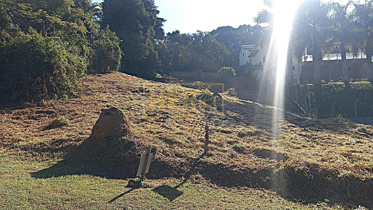 Terreno à venda, 1300m² - Foto 2