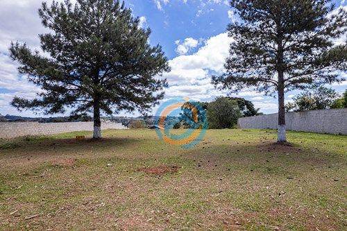 Terreno, 3300 m² - Foto 17