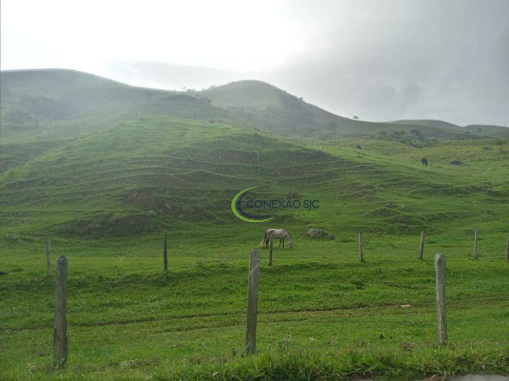 Fazenda à venda com 2 quartos, 1355200M2 - Foto 19