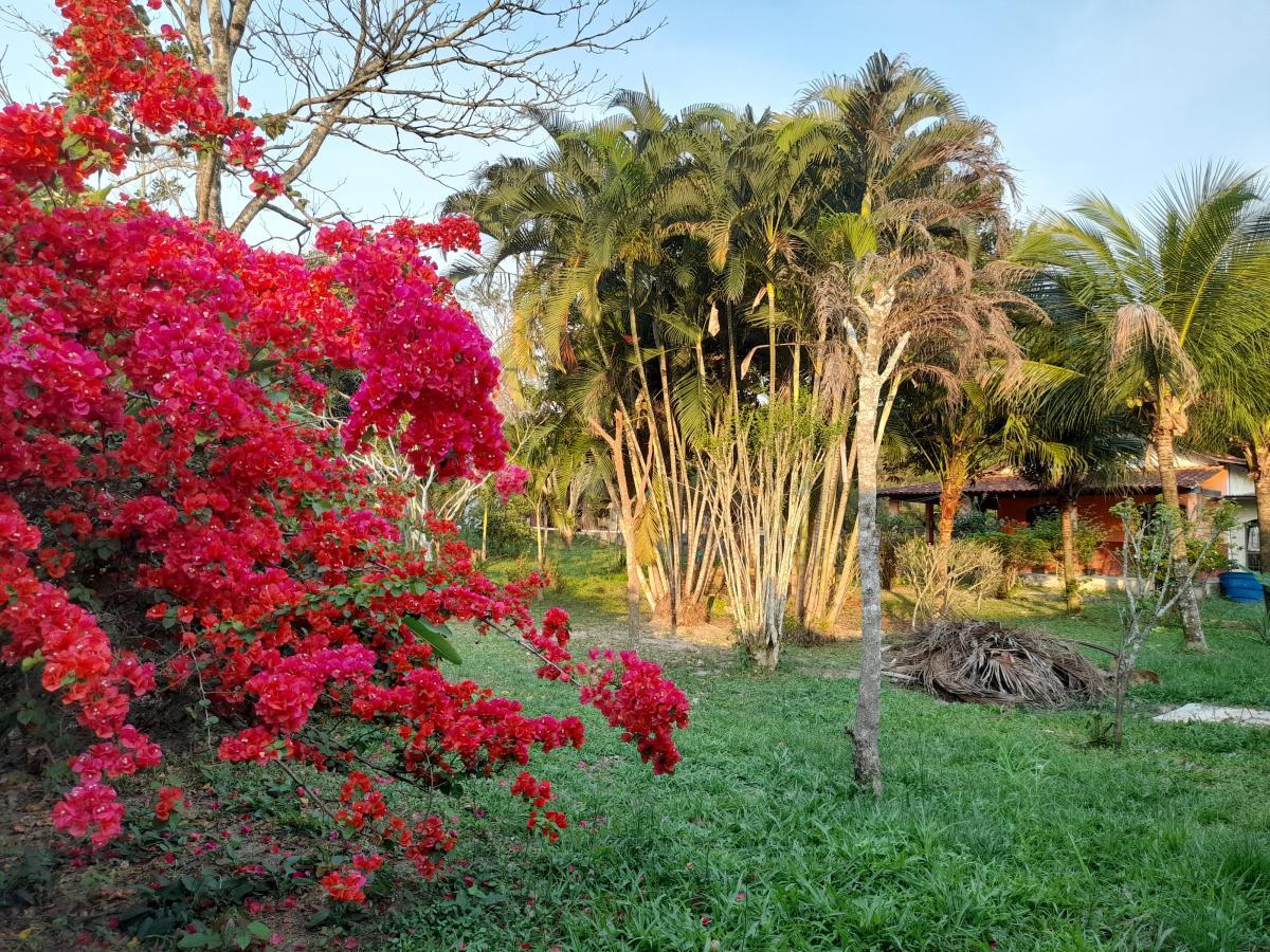 Fazenda à venda com 2 quartos, 5000m² - Foto 16