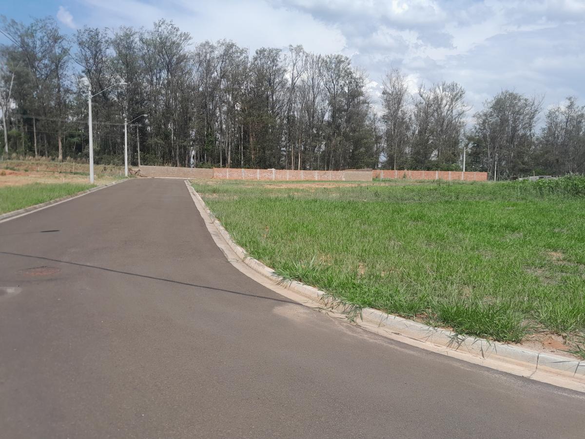 Terreno à venda, 250m² - Foto 4