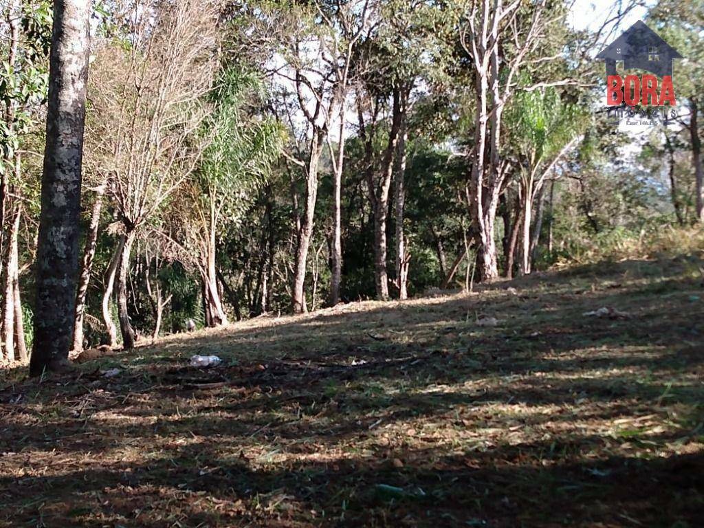 Terreno à venda, 1500M2 - Foto 4