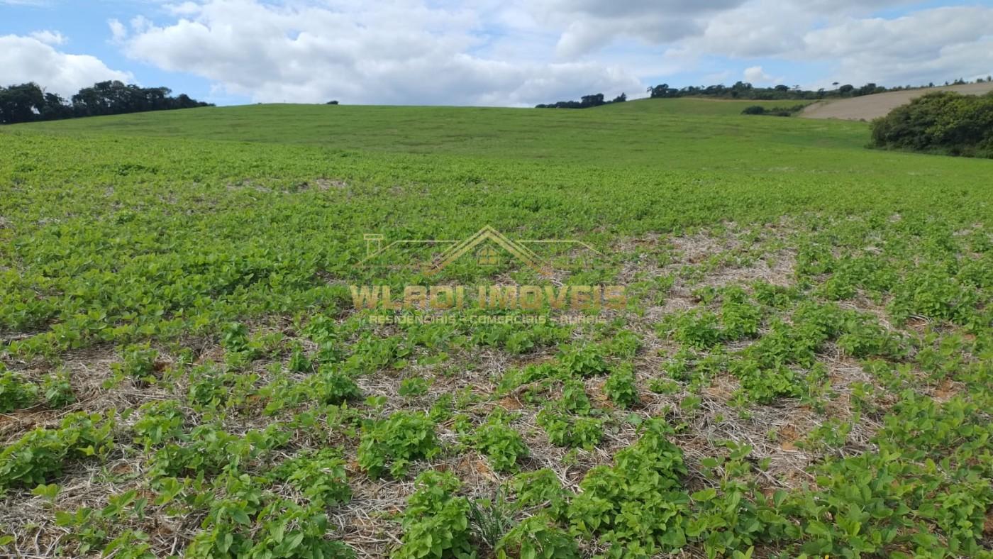 Fazenda à venda, 160m² - Foto 9