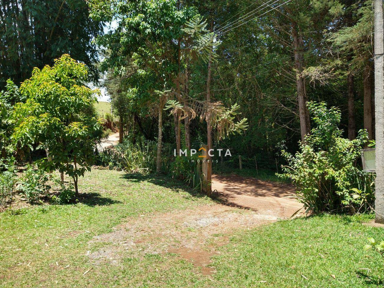 Sítio à venda com 3 quartos, 58000M2 - Foto 154