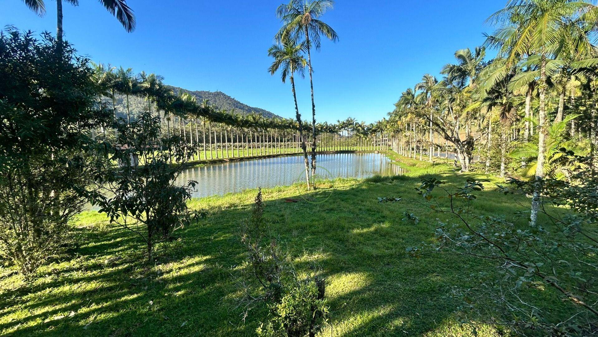 Sítio, 19 hectares - Foto 39