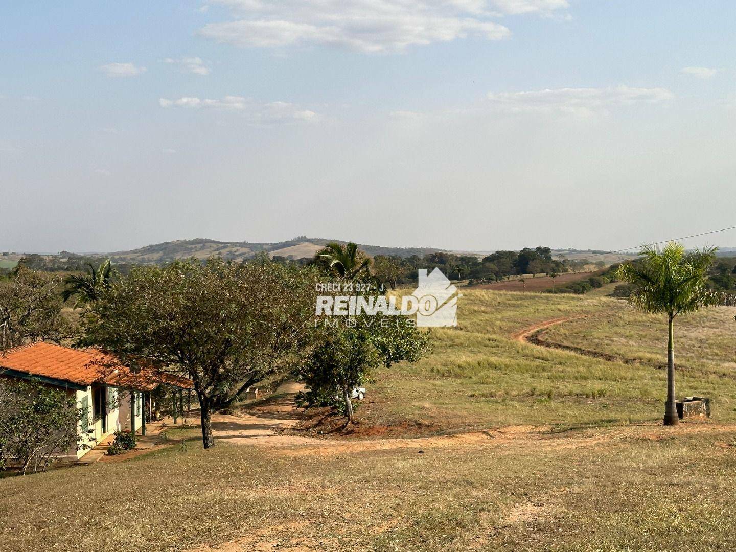 Haras e Área Rural Padrão à venda com 8 quartos, 5000m² - Foto 103