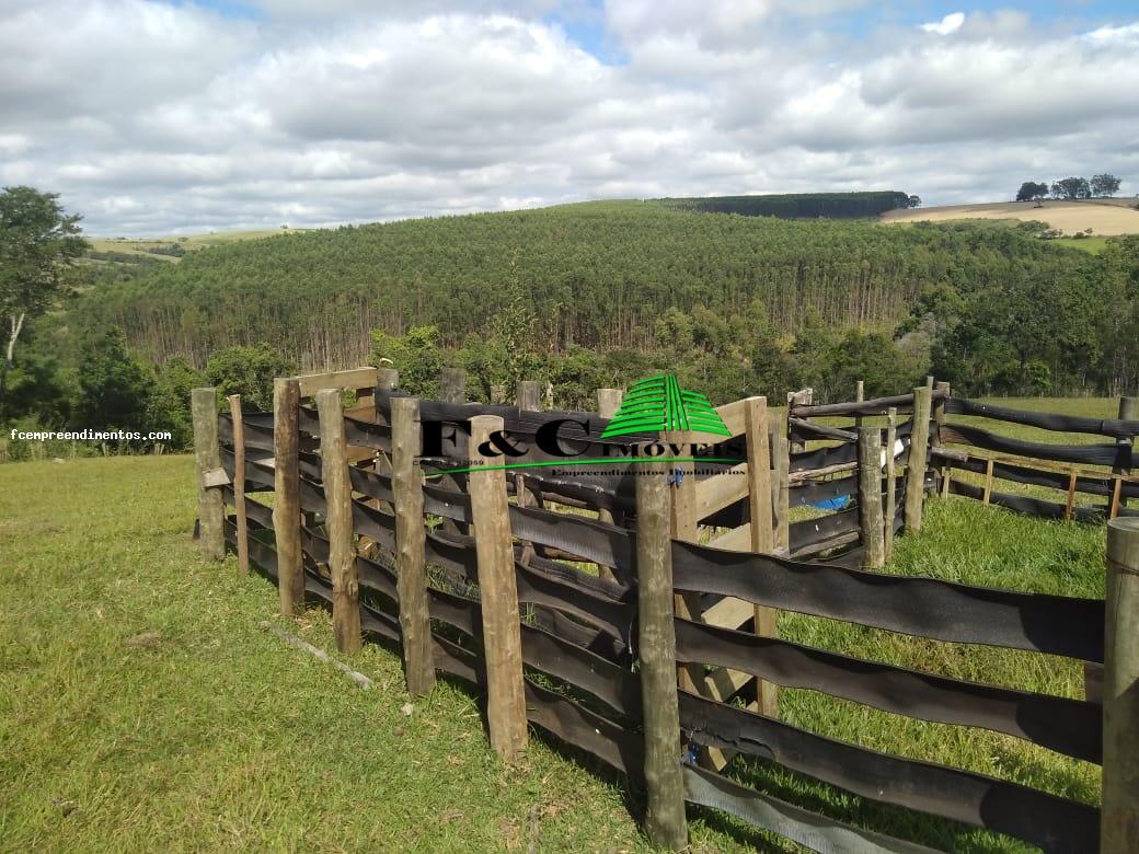 Fazenda à venda com 2 quartos, 40000m² - Foto 4