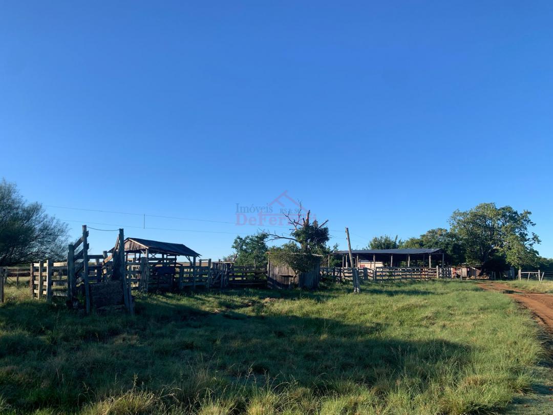 Fazenda-Sítio-Chácara - Foto 5