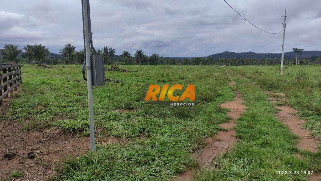 Fazenda à venda, 2050000M2 - Foto 10