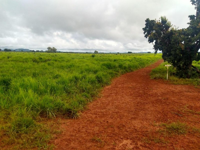 Fazenda à venda, 4007m² - Foto 8