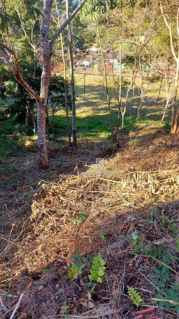 Loteamento e Condomínio à venda, 300M2 - Foto 6