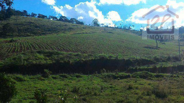 Fazenda à venda com 2 quartos, 411400M2 - Foto 18