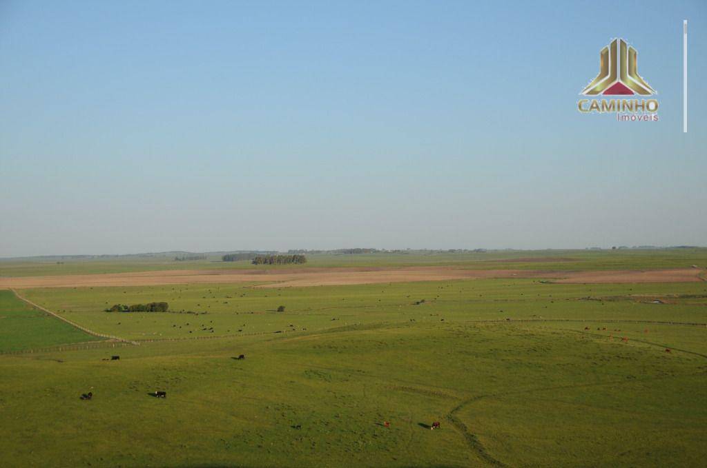 Fazenda à venda com 5 quartos, 33455000M2 - Foto 13