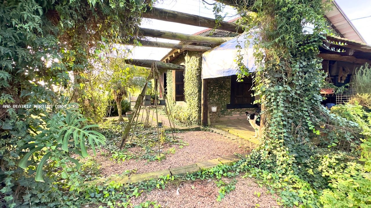 Sítio à venda com 2 quartos, 30000m² - Foto 31