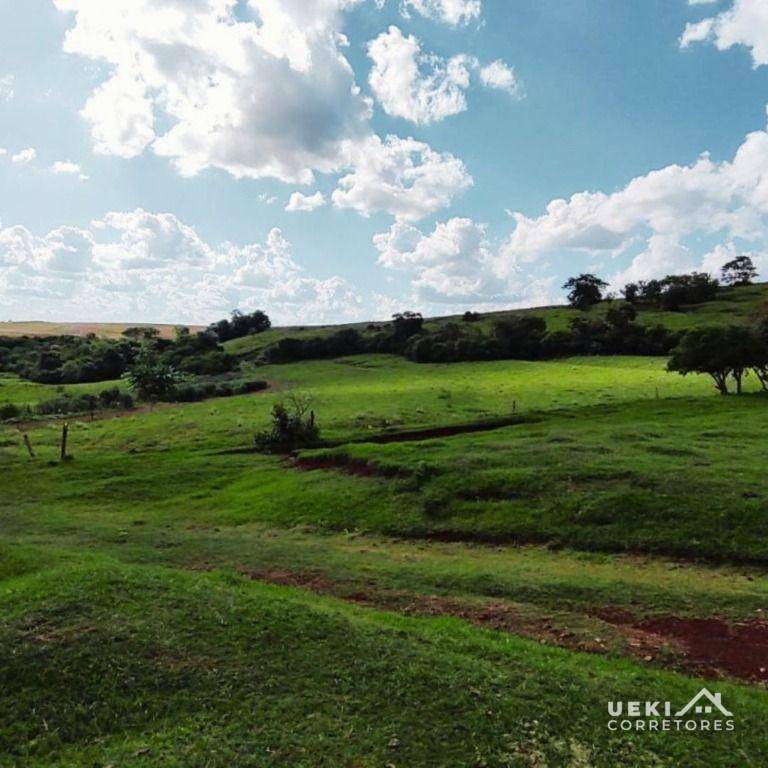 Fazenda-Sítio-Chácara, 104 hectares - Foto 2