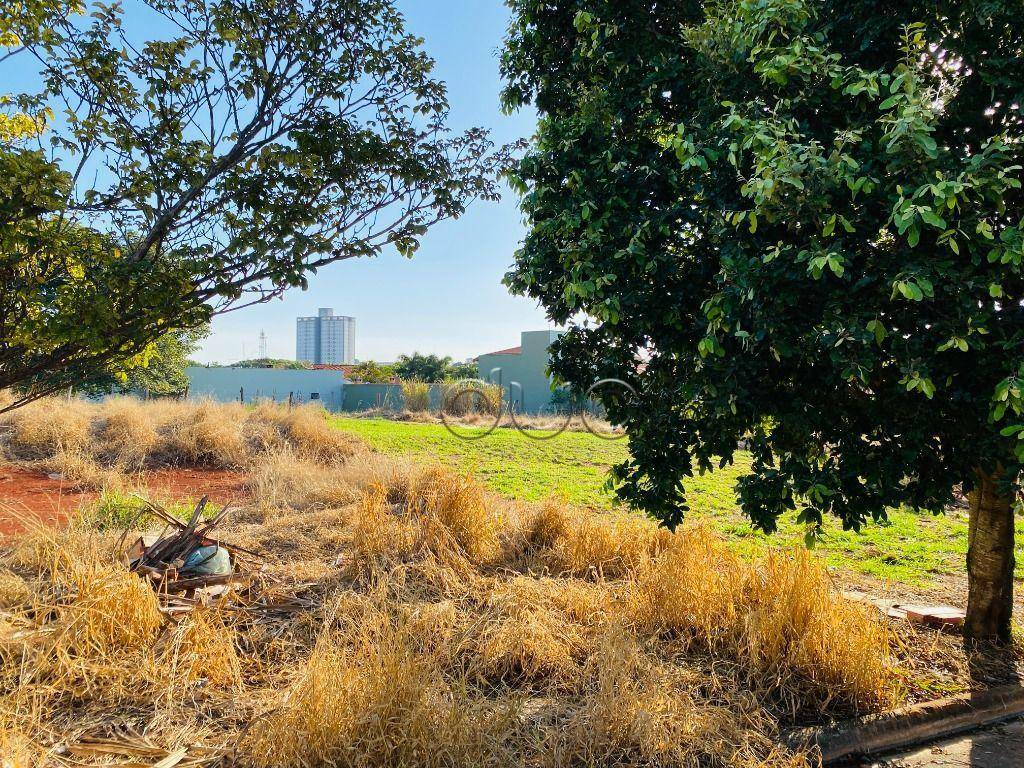 Terreno à venda, 250M2 - Foto 1