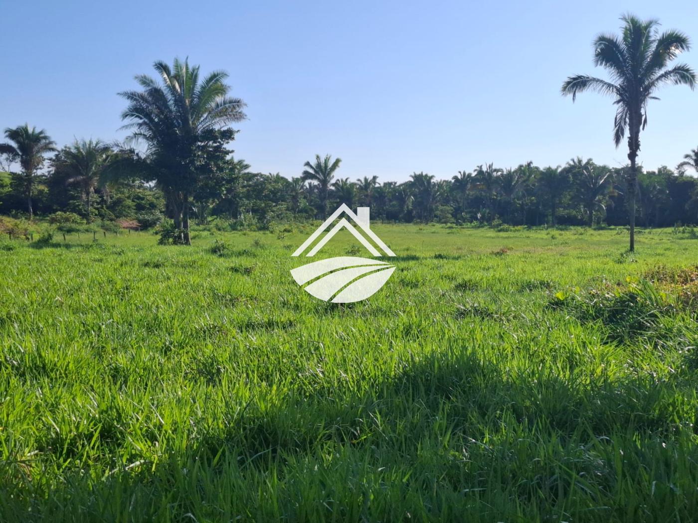 Fazenda-Sítio-Chácara, 1 m² - Foto 19