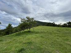 Terreno, 9 hectares - Foto 17