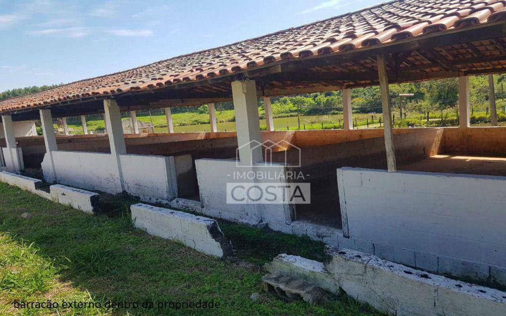 Sítio à venda com 4 quartos, 16600M2 - Foto 15