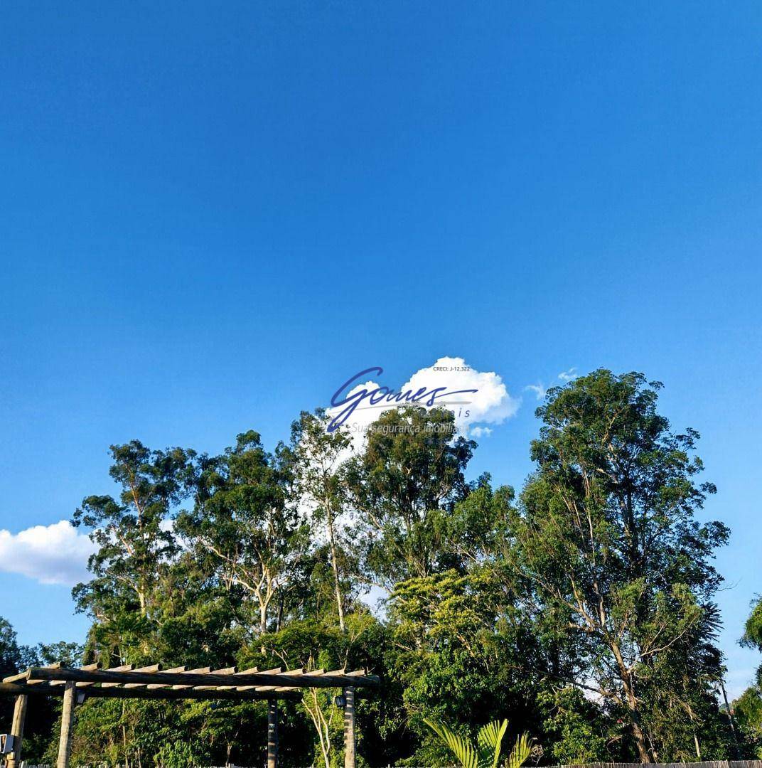 Sítio à venda com 1 quarto, 10000M2 - Foto 14