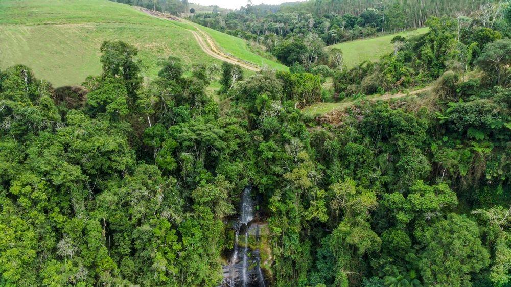 Fazenda à venda com 3 quartos, 205000m² - Foto 6